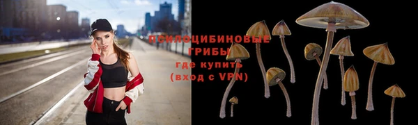соль курить ск Арсеньев